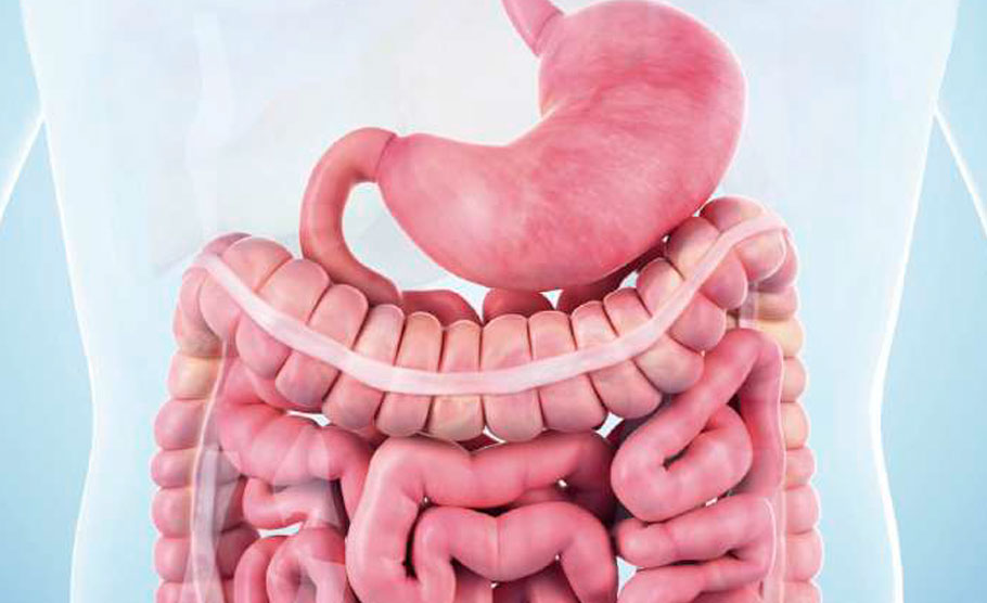 Fellowship de Investigación Clínica en Cirugía Digestiva