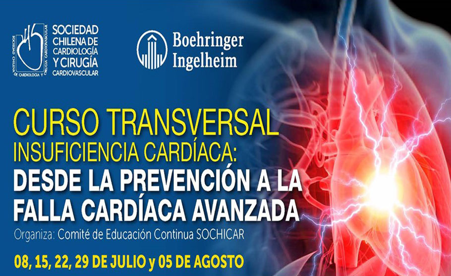 Cuarta sesión del Curso Transversal de Insuficiencia Cardíaca