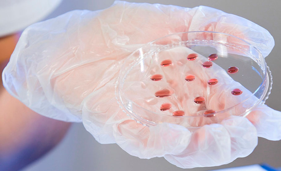Diplomado en Enfermedades infecciosas del adulto – Online