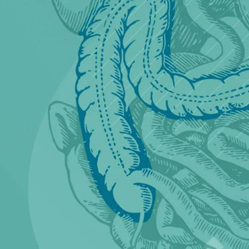 42o Curso Anual de Coloproctología SACP 2023