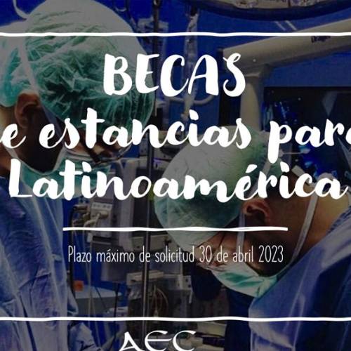 Becas de Estancias para Latinoamérica
