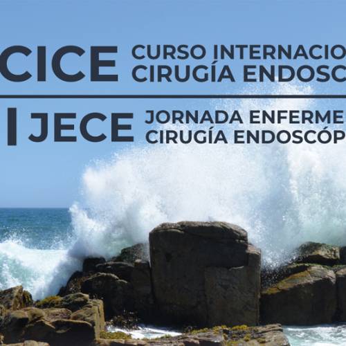 VI CICE – III JECE 2023