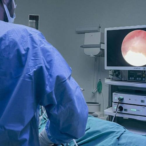 Webinar: “Cierre endoscópico brechas gastrointestinales”